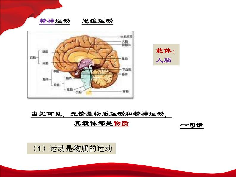 2.2 运动的规律性 课件第7页