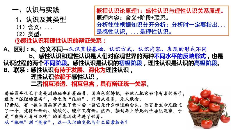 4.1 人的认识从何而来 课件第4页