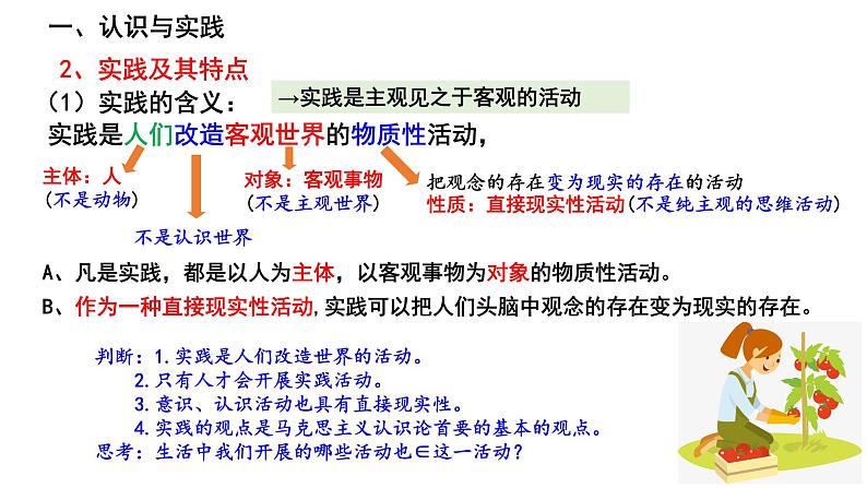 4.1 人的认识从何而来 课件第5页