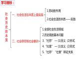 5.1 社会历史的本质 课件