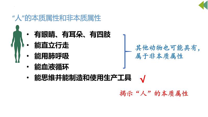 4.1 概念的概述 课件第5页