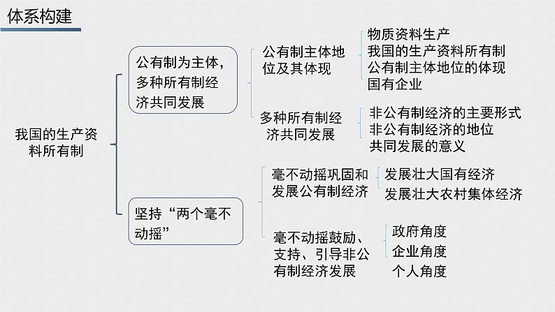 必修2 经济与社会 第一课   我国的生产资料所有制 课件03