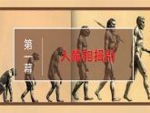 5.1 社会历史的本质 课件