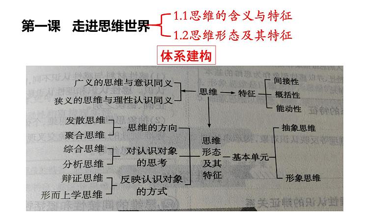 高三复习 选修三逻辑和思维 第一课 走进思维世界课件03