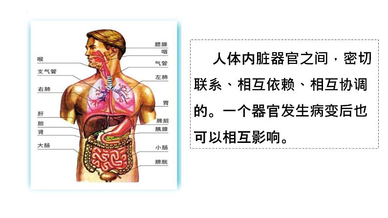 3.1 世界是普遍联系的 课件05