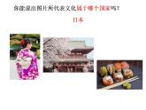 8.1文化民族性和多样性 课件-2022-2023学年高中政治统编版必修四哲学与文化
