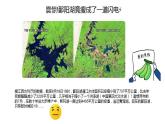 3.1 世界是普遍联系的 课件