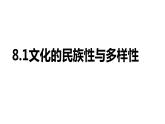 8.1 文化的民族性与多样性 课件3必修四哲学与文化