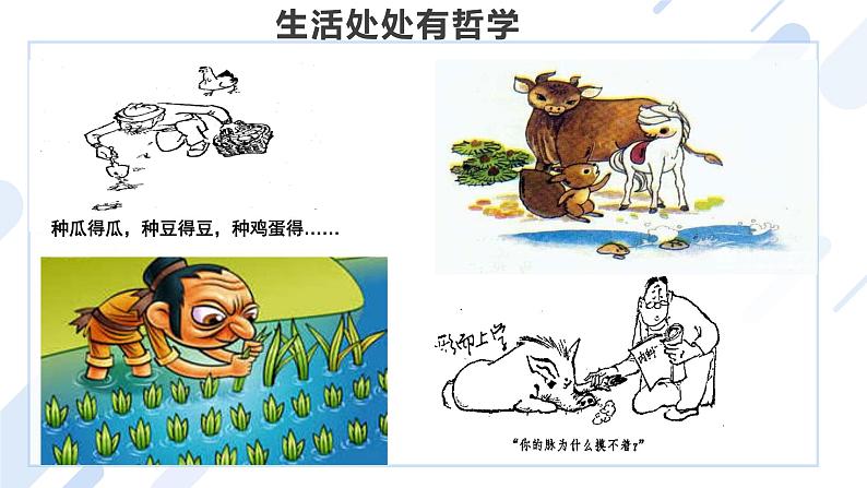 1.1 追求智慧的学问 课件第7页