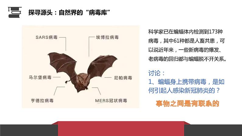 3.1 世界是普遍联系的 课件第5页