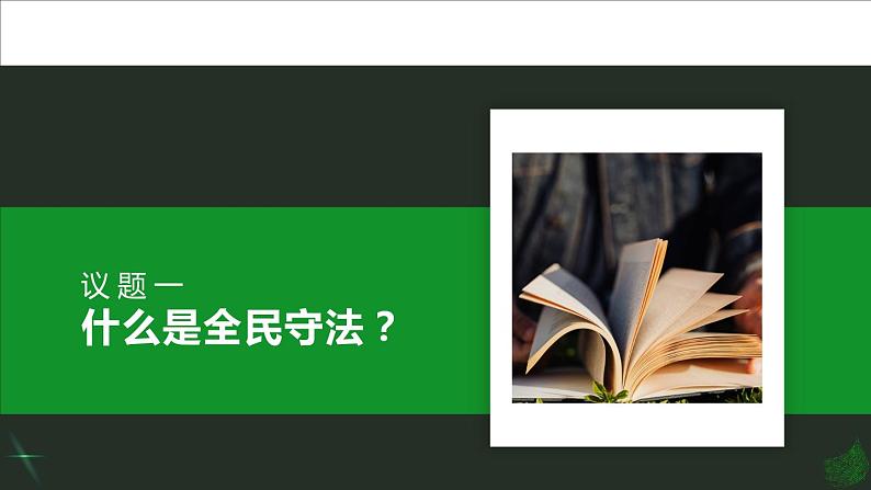 9.4 全民守法 课件第6页