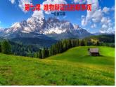 必修四 第七课 唯物辩证法的联系观 课件