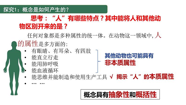 4.1   概念的概述  课件PPT第5页