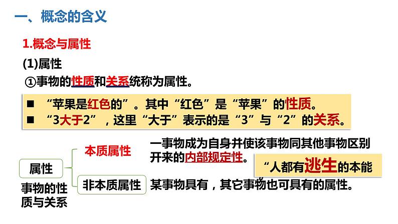 4.1   概念的概述  课件PPT第6页