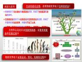 3.2 世界是永恒发展的 课件