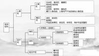 第二课  依法有效保护财产权课件-2023届高考政治一轮复习统编版选择性必修二法律与生活