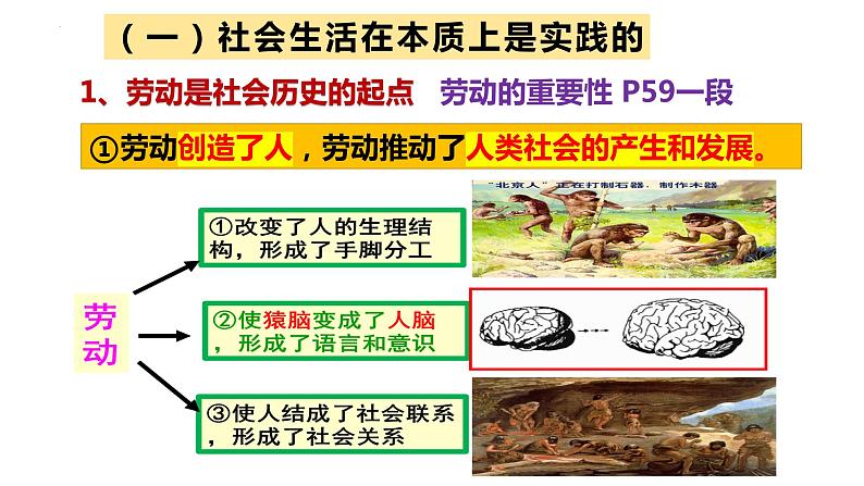 5.1 社会历史的本质 课件第5页