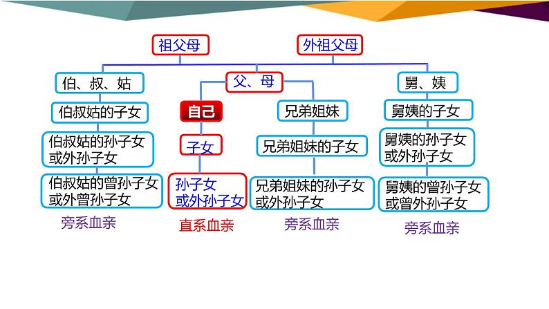 6.1《法律保护下的婚姻》课件PPT07