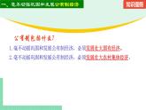 高中政治（必修2）1-2 坚持“两个毫不动摇” 课件