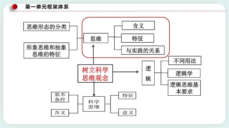 1.1思维的含义与特征 课件第4页