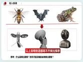 人教统编版高中政治选择性必修3 7.2类比推理及其方法 课件+素材（送教案练习）