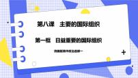 高中政治 (道德与法治)人教统编版选择性必修1 当代国际政治与经济日益重要的国际组织精品课件ppt