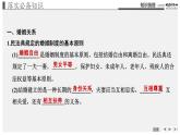 新高中政治高考 選擇性必修2  第2單元  第6課 第六課 珍惜婚姻關(guān)系課件