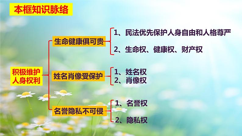 1.2 积极维护人身权利课件-2022-2023学年高中政治统编版选择性必修二法律与生活04