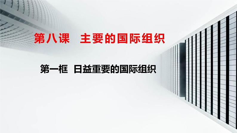 8.1 日益重要的国际组织 课件-2022-2023学年高中政治统编版选择性必修一当代国际政治与经济02