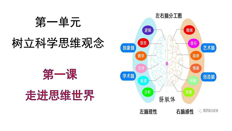 第一课 走进思维世界 课件-2023届高考政治一轮复习统编版选择性必修三逻辑与思维第2页