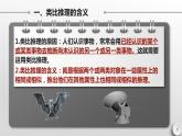 7.2 类比推理及其方法 课件-2022-2023学年高中政治统编版选择性必修三逻辑与思维