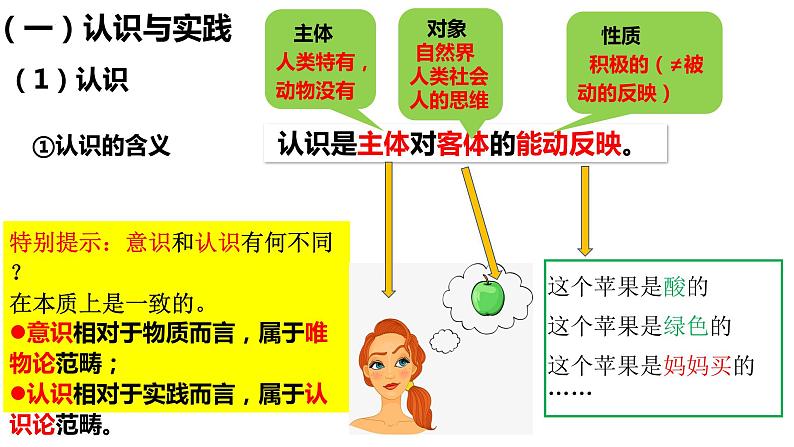 4.1人的认识从何而来课件PPT第3页