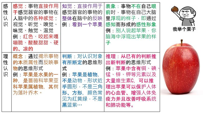 4.1人的认识从何而来课件PPT第6页