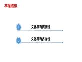 8.1文化的民族性与多样性修改课件PPT