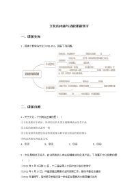 政治 (道德与法治)必修4 哲学与文化文化的内涵与功能达标测试