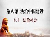 8.3法治社会❤课件PPT