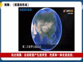 8.3區(qū)域性國際組織（兩個課時）高二政治課件（統(tǒng)編版選擇性必修1） 課件+素材