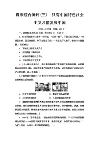 2019-2020学年人教政治必修1新教材课末综合测评3　只有中国特色社会主义才能发展中国