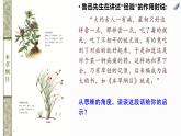 7.1歸納推理及其方法(精編課件+教案+同步練習(xí)）精編高二政治同步備課系列（統(tǒng)編版選擇性必修3）