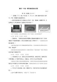 山东省滕州市第一中学2022-2023学年高一政治上学期期末考试试题（Word版附答案）