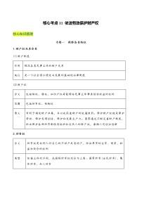 核心考点11 依法有效保护财产权-高考政治一轮复习全考点核心知识梳理＋对点练习（统编版选择性必修2）