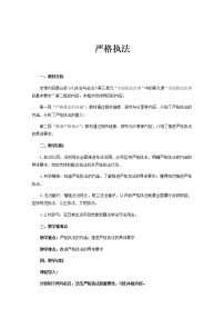 高中政治 (道德与法治)人教统编版必修3 政治与法治严格执法教案设计