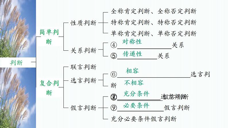 第五课 正确运用判断 课件-2023届高考政治一轮复习统编版选择性必修三逻辑与思维第3页