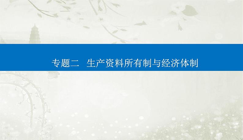 2023届高考思想政治二轮复习专题二生产资料所有制与经济体制课件01