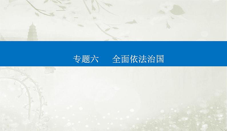 2023届高考思想政治二轮复习专题六全面依法治国课件第1页