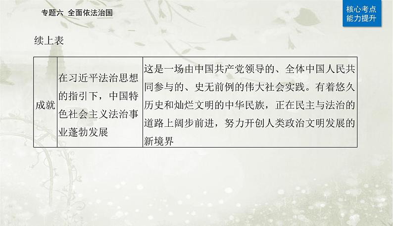 2023届高考思想政治二轮复习专题六全面依法治国课件第8页