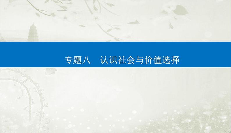 2023届高考思想政治二轮复习专题八认识社会与价值选择课件01