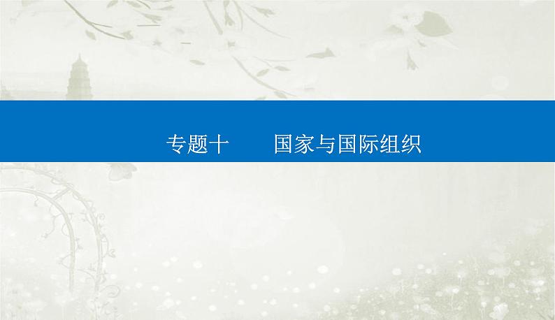 2023届高考思想政治二轮复习专题十国家与国际组织课件01