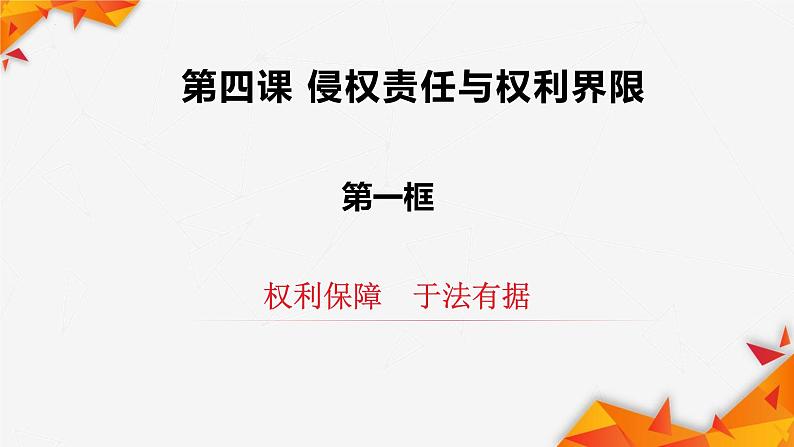 4.1 权利保障 于法有据 课件-2022-2023学年高中政治统编版选择性必修二法律与生活03