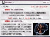 11.2联想思维的含义与方法 课件-2022-2023学年高中政治选择性必修3逻辑与思维